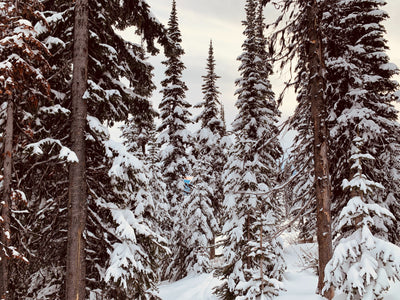 Scent Profile: Fir