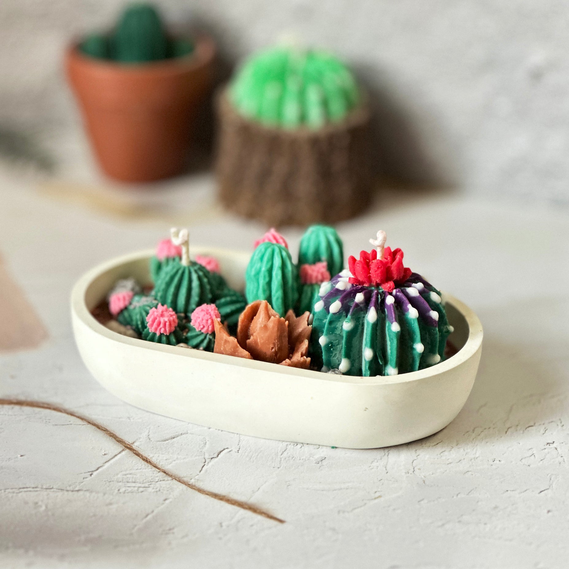 Crafted Container Collection
