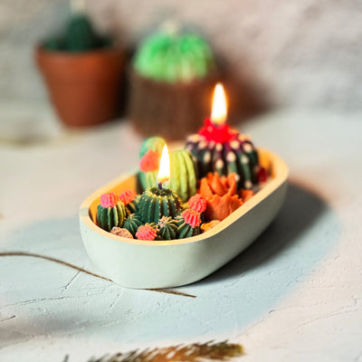 Succulent Garden Scented Candle