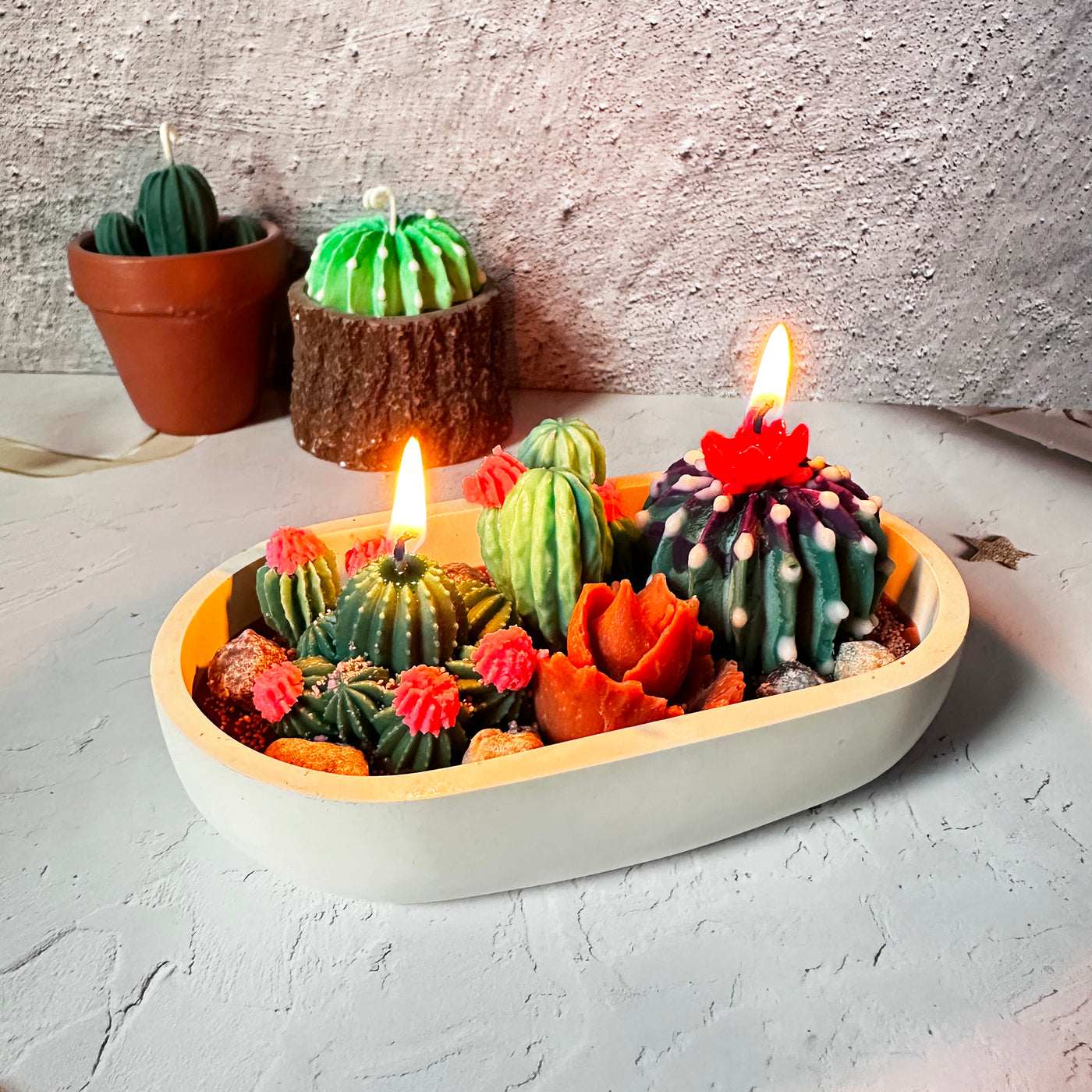Succulent Garden Scented Candle