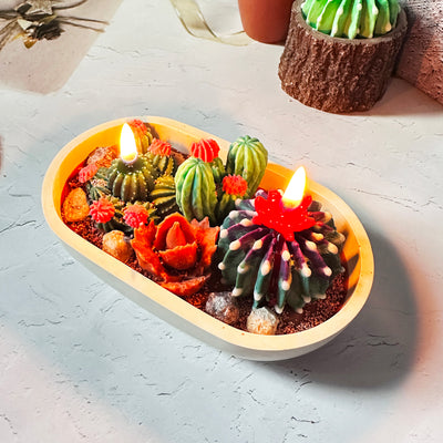 Succulent Garden Scented Candle
