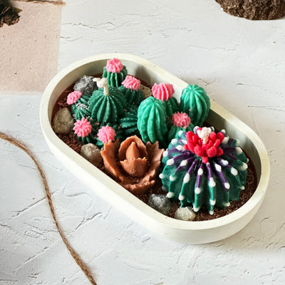 Succulent Garden Scented Candle