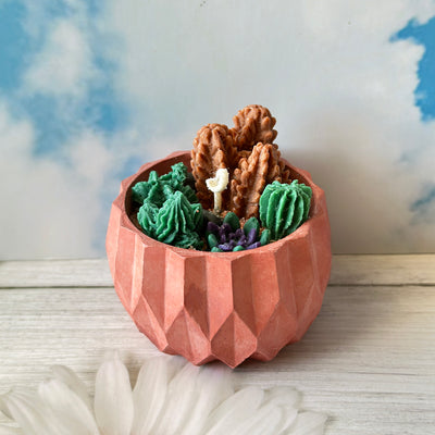 Succulents Bliss Candle