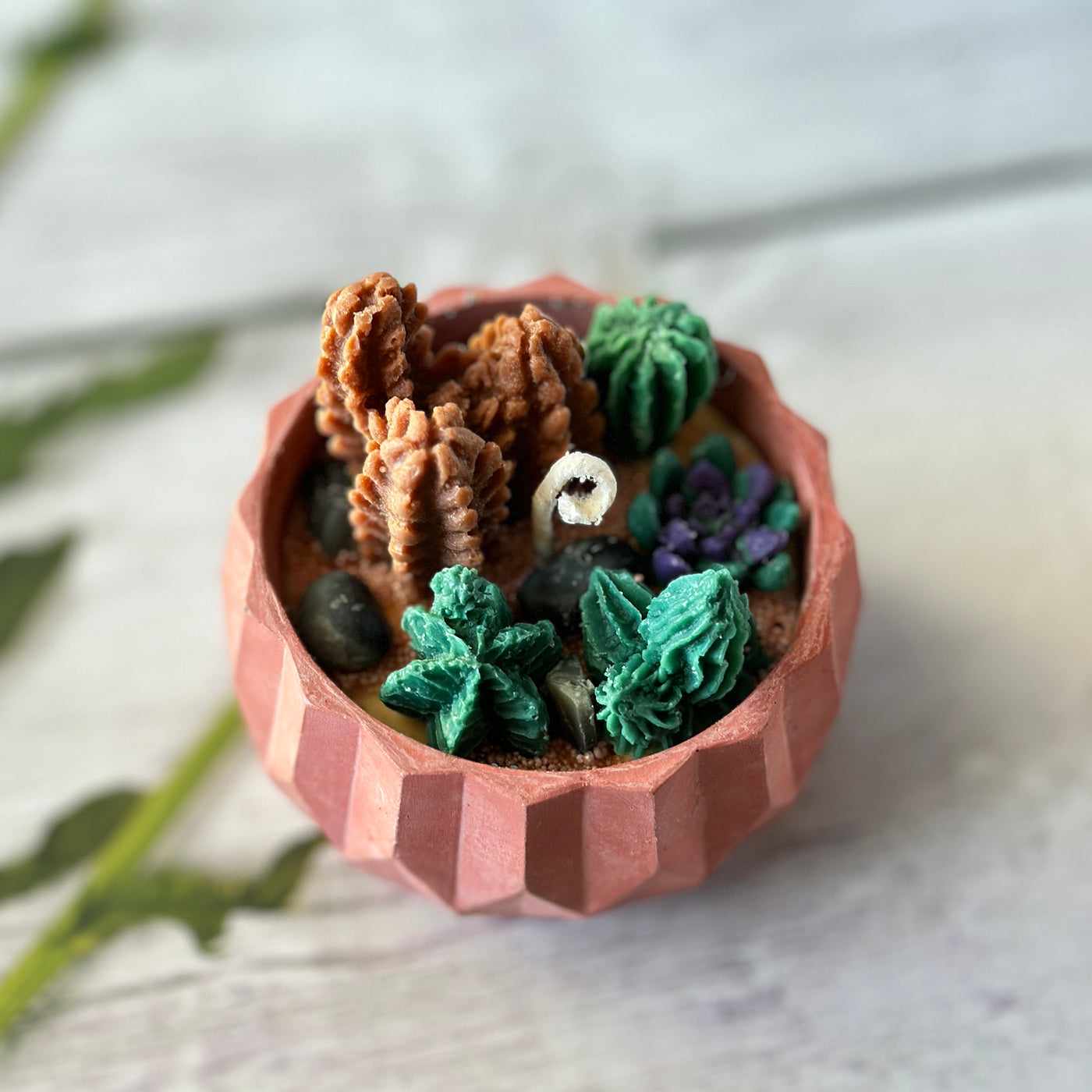 Succulents Bliss Candle