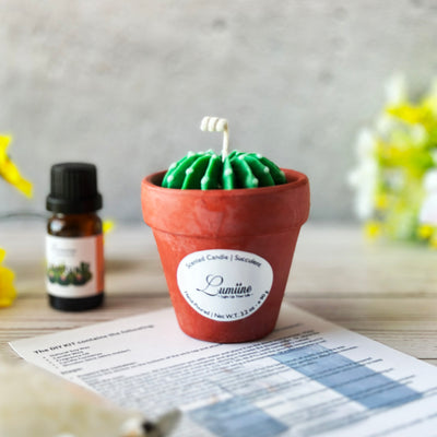 DIY Scented Candle Kit - Cacti Breeze