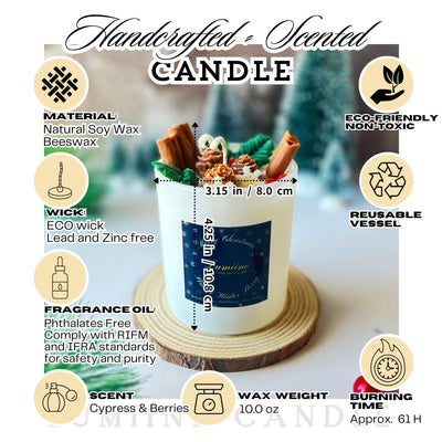 Pine & Winter Berry Candle ~ 🌱 Refillable 🌱