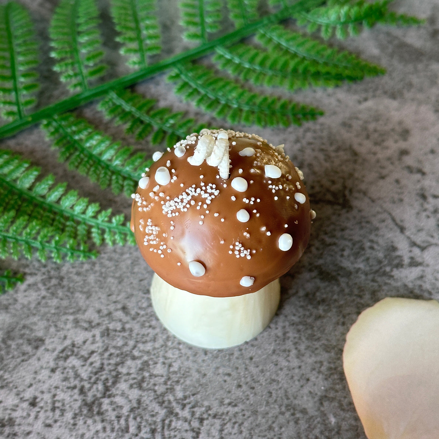 Mushroom Candles 🍄