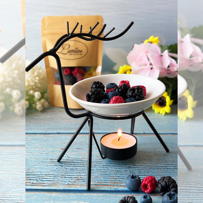 Scented Wax Melts