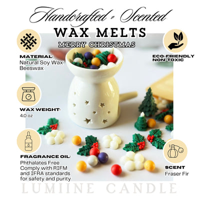 Christmas Vibe Wax Melts