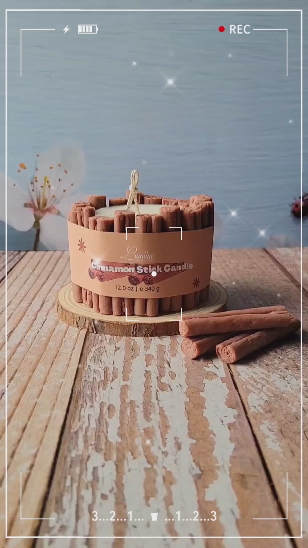 Cinnamon Sticks Candle