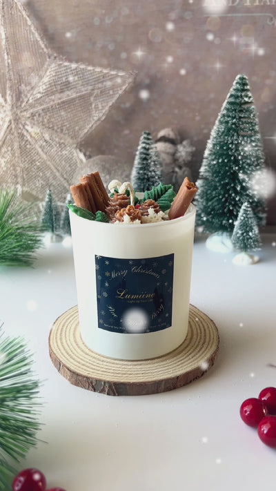 Pine & Winter Berry Candle ~ 🌱 Refillable 🌱