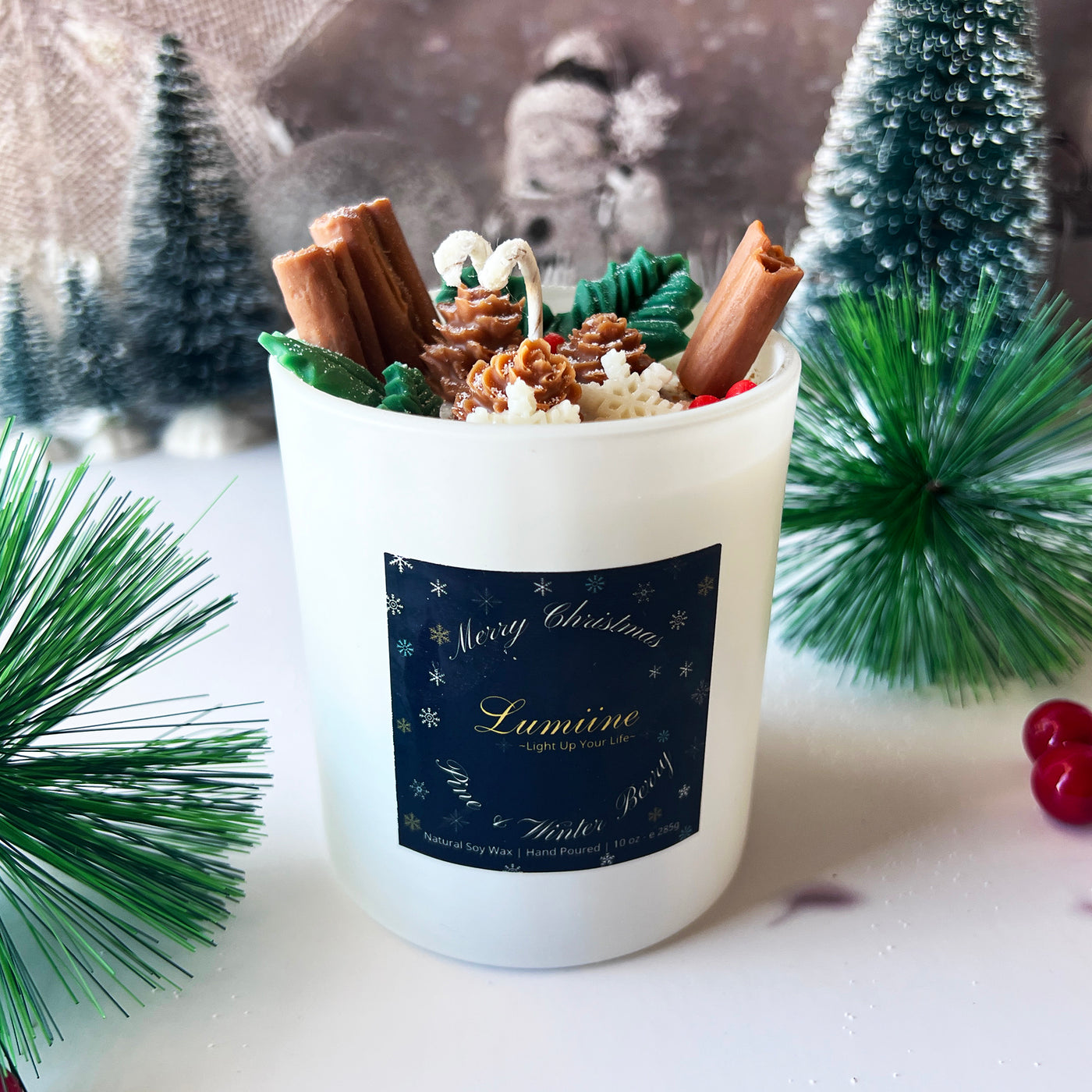 Pine & Winter Berry Candle ~ 🌱 Refillable 🌱